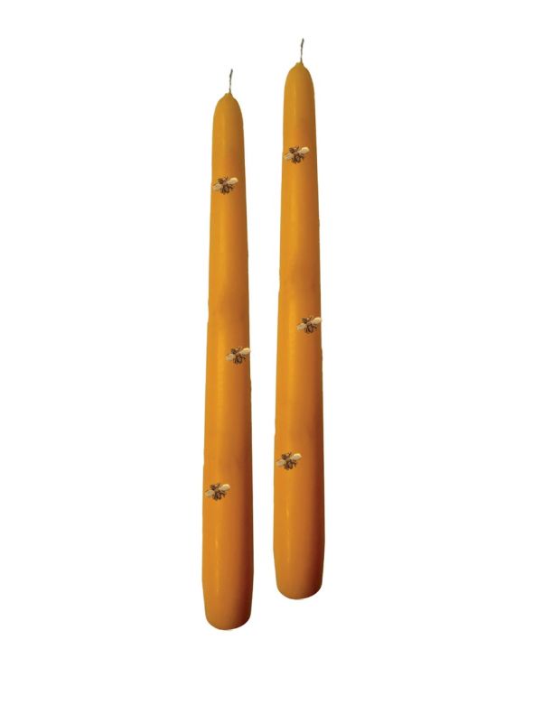 Candele Coniche con Api in cera  Ø 2,2 cm h. 25 cm 2 pezzi - Senape