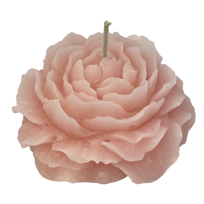 Candela a forma di Camelia - Colore Rosa  Polvere - Diametro 8 cm altezza 3,5 cm - con Sacchetto Regalo