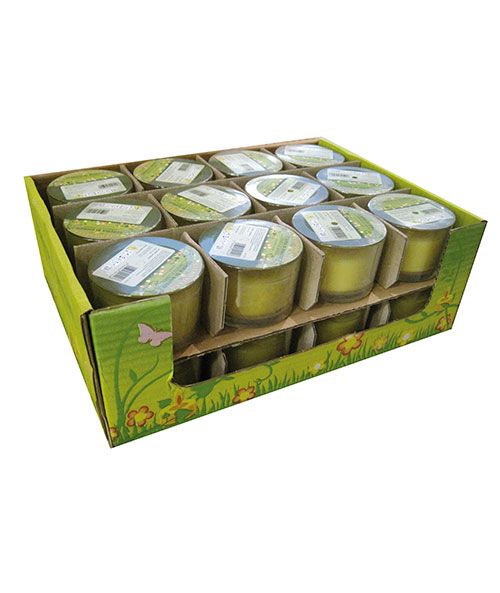 Candela in bicchiere alla citronella