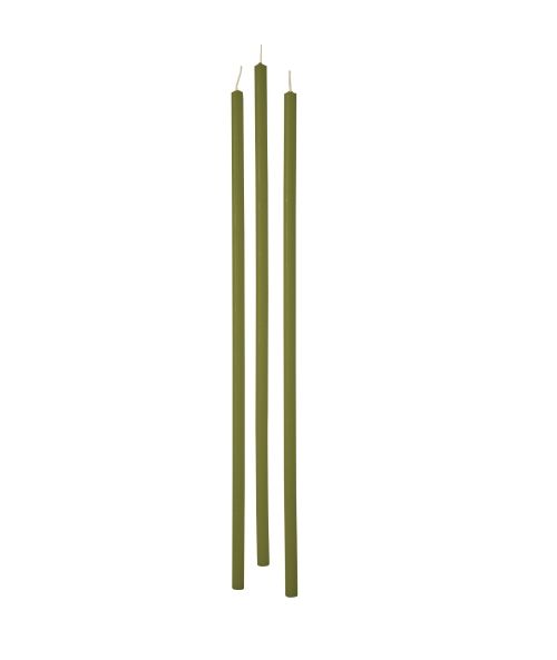 Candele stelo Ø 0,9 cm h. 37 cm 12 pezzi - Verde marcio