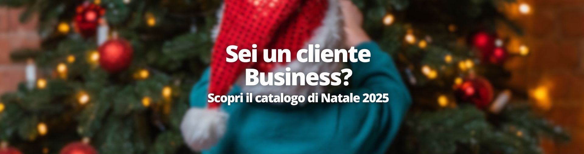 SCOPRI IL CATALOGO DI NATALE 2025